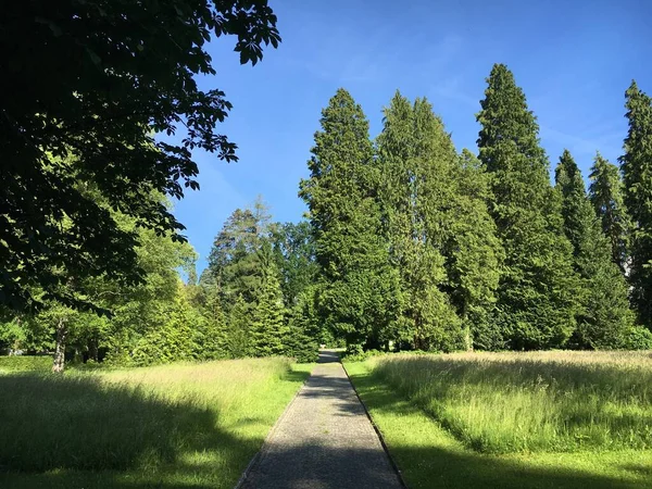 瑞士圣加仑的Feldli公墓 Sankt Gallen的Friedhof Feldli公园 瑞士圣加仑 Schweiz — 图库照片