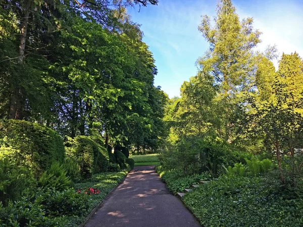 Park Feldli Cemetery Saint Gallen Park Auf Dem Friedhof Feldli — Foto de Stock