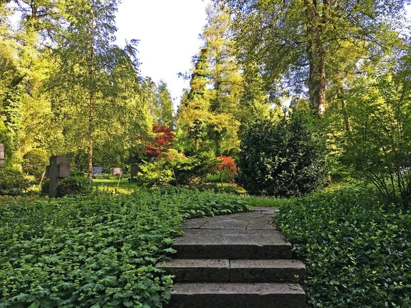 Park Feldli Cemetery Saint Gallen Park Auf Dem Friedhof Feldli — Foto de Stock