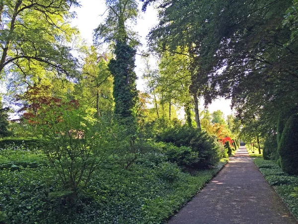 สวนสาธารณะท สานเฟลด ในเซนต ลเลน สวนสาธารณะเดอฟร ดฮอฟเฟลล ในเซนต ลเลน เซนต ลเลน — ภาพถ่ายสต็อก