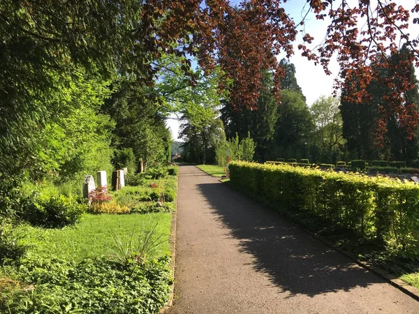 Πάρκο Στο Κοιμητήριο Feldli Στο Saint Gallen Πάρκο Auf Dem — Φωτογραφία Αρχείου