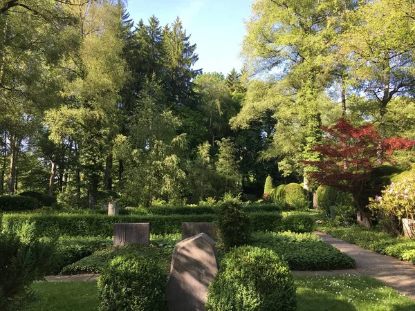 Tumbas Tumbas Detalles Cementerio Feldli Saint Gallen Grabsteine Graeber Und — Foto de Stock