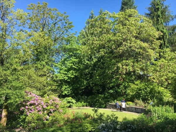 Landskap Botaniska Trädgården Gallen Eller Landschaft Des Botanisches Garten Gallen — Stockfoto