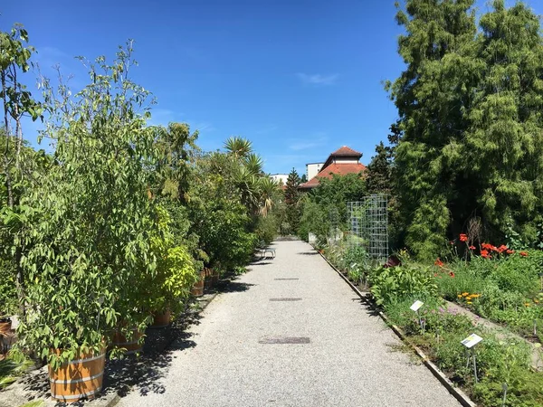 Paisaje Del Jardín Botánico Gallen Landschaft Des Botanisches Garten Gallen — Foto de Stock