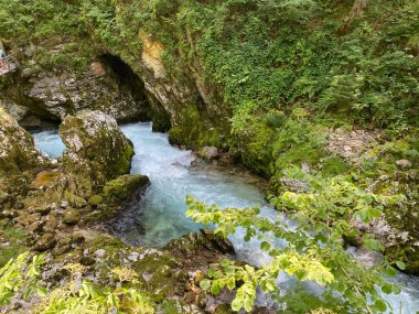 Vintgar Gorge veya Bled Gorge - Bled, Slovenya (Triglav Ulusal Parkı) - Vintgar Klamm oder Vintgarklamm, Slowenien (Nationalpark Triglav) - Soteska Vintgar ali Blejski Vintgar (Triglavski narodni parkı))