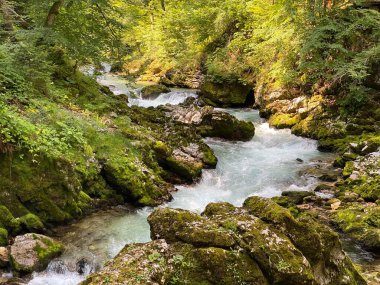 Vintgar Gorge veya Bled Gorge - Bled, Slovenya (Triglav Ulusal Parkı) - Vintgar Klamm oder Vintgarklamm, Slowenien (Nationalpark Triglav) - Soteska Vintgar ali Blejski Vintgar (Triglavski narodni parkı))