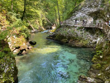 Vintgar Gorge veya Bled Gorge - Bled, Slovenya (Triglav Ulusal Parkı) - Vintgar Klamm oder Vintgarklamm, Slowenien (Nationalpark Triglav) - Soteska Vintgar ali Blejski Vintgar (Triglavski narodni parkı))