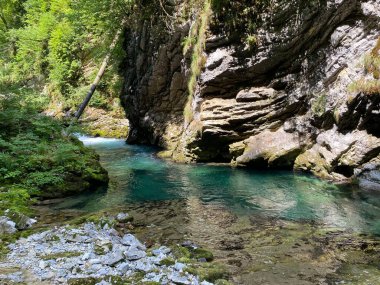Vintgar Gorge veya Bled Gorge - Bled, Slovenya (Triglav Ulusal Parkı) - Vintgar Klamm oder Vintgarklamm, Slowenien (Nationalpark Triglav) - Soteska Vintgar ali Blejski Vintgar (Triglavski narodni parkı))