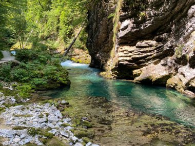 Vintgar Gorge veya Bled Gorge - Bled, Slovenya (Triglav Ulusal Parkı) - Vintgar Klamm oder Vintgarklamm, Slowenien (Nationalpark Triglav) - Soteska Vintgar ali Blejski Vintgar (Triglavski narodni parkı))