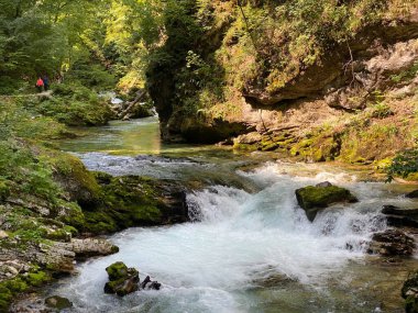 Vintgar Gorge veya Bled Gorge - Bled, Slovenya (Triglav Ulusal Parkı) - Vintgar Klamm oder Vintgarklamm, Slowenien (Nationalpark Triglav) - Soteska Vintgar ali Blejski Vintgar (Triglavski narodni parkı))