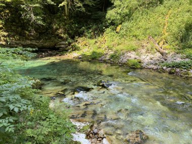 Vintgar Gorge veya Bled Gorge - Bled, Slovenya (Triglav Ulusal Parkı) - Vintgar Klamm oder Vintgarklamm, Slowenien (Nationalpark Triglav) - Soteska Vintgar ali Blejski Vintgar (Triglavski narodni parkı))