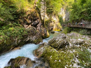 Vintgar Gorge veya Bled Gorge - Bled, Slovenya (Triglav Ulusal Parkı) - Vintgar Klamm oder Vintgarklamm, Slowenien (Nationalpark Triglav) - Soteska Vintgar ali Blejski Vintgar (Triglavski narodni parkı))