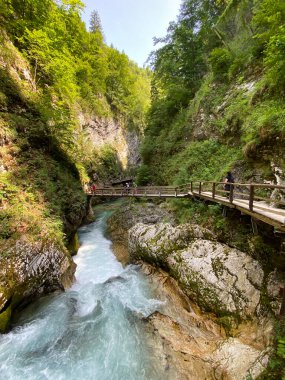 Vintgar Gorge veya Bled Gorge - Bled, Slovenya (Triglav Ulusal Parkı) - Vintgar Klamm oder Vintgarklamm, Slowenien (Nationalpark Triglav) - Soteska Vintgar ali Blejski Vintgar (Triglavski narodni parkı))