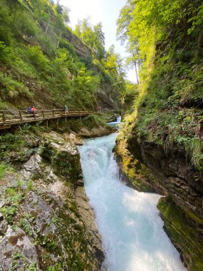 Vintgar Gorge veya Bled Gorge - Bled, Slovenya (Triglav Ulusal Parkı) - Vintgar Klamm oder Vintgarklamm, Slowenien (Nationalpark Triglav) - Soteska Vintgar ali Blejski Vintgar (Triglavski narodni parkı))