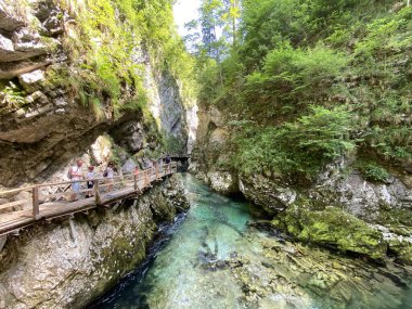 Vintgar Gorge veya Bled Gorge - Bled, Slovenya (Triglav Ulusal Parkı) - Vintgar Klamm oder Vintgarklamm, Slowenien (Nationalpark Triglav) - Soteska Vintgar ali Blejski Vintgar (Triglavski narodni parkı))