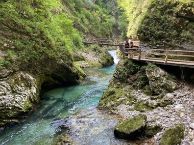 Vintgar Gorge veya Bled Gorge - Bled, Slovenya (Triglav Ulusal Parkı) - Vintgar Klamm oder Vintgarklamm, Slowenien (Nationalpark Triglav) - Soteska Vintgar ali Blejski Vintgar (Triglavski narodni parkı))