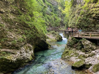 Vintgar Gorge veya Bled Gorge - Bled, Slovenya (Triglav Ulusal Parkı) - Vintgar Klamm oder Vintgarklamm, Slowenien (Nationalpark Triglav) - Soteska Vintgar ali Blejski Vintgar (Triglavski narodni parkı))