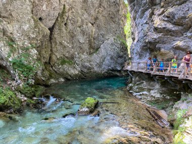 Vintgar Gorge veya Bled Gorge - Bled, Slovenya (Triglav Ulusal Parkı) - Vintgar Klamm oder Vintgarklamm, Slowenien (Nationalpark Triglav) - Soteska Vintgar ali Blejski Vintgar (Triglavski narodni parkı))