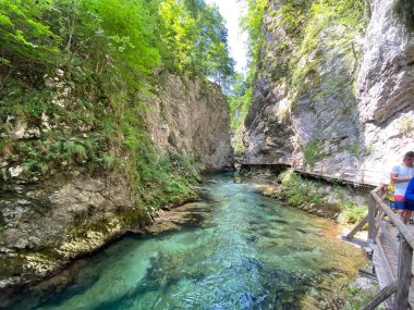 Vintgar Gorge veya Bled Gorge - Bled, Slovenya (Triglav Ulusal Parkı) - Vintgar Klamm oder Vintgarklamm, Slowenien (Nationalpark Triglav) - Soteska Vintgar ali Blejski Vintgar (Triglavski narodni parkı))