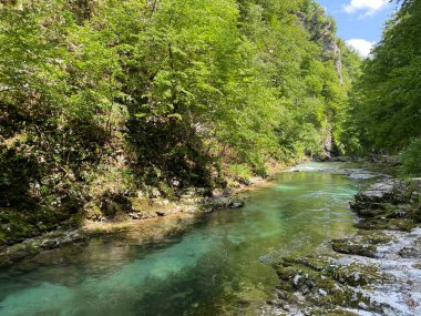 Vintgar Gorge veya Bled Gorge - Bled, Slovenya (Triglav Ulusal Parkı) - Vintgar Klamm oder Vintgarklamm, Slowenien (Nationalpark Triglav) - Soteska Vintgar ali Blejski Vintgar (Triglavski narodni parkı))