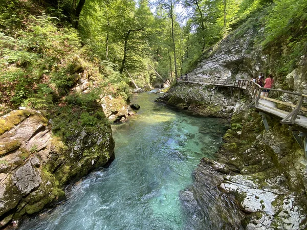 Vintgar Gorge Bled Gorge Bled Slovenia Triglav National Park Vintgar — стокове фото