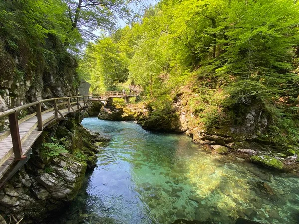 Vintgar Gorge Eller Bled Gorge Bled Slovenien Triglav Nationalpark Vintgar — Stockfoto