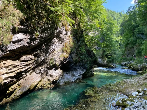 Bleder Schlucht Bled Slowenien Triglav Nationalpark Vintgar Klamm Oder Vintgarklamm — Stockfoto