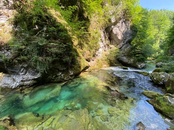 Vintgar Gorge Lub Bled Gorge Bled Słowenia Triglav National Park — Zdjęcie stockowe