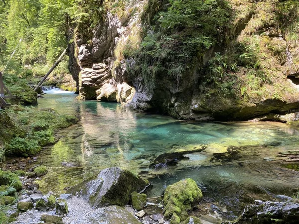 Vintgar Gorge Eller Bled Gorge Bled Slovenien Triglav Nationalpark Vintgar — Stockfoto