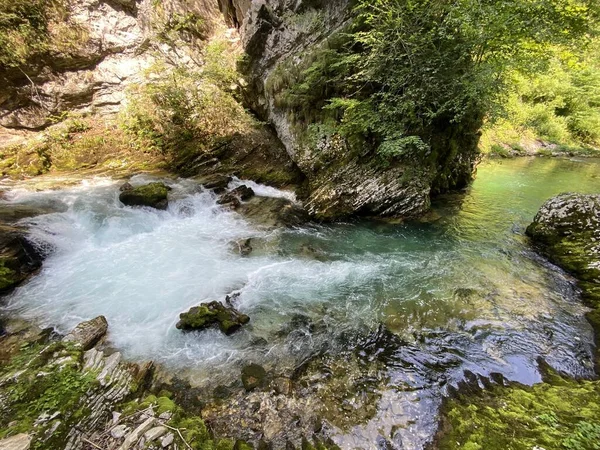 Vintgar Gorge Bled Gorge Bled Slovenia Triglav National Park Vintgar — Foto de Stock