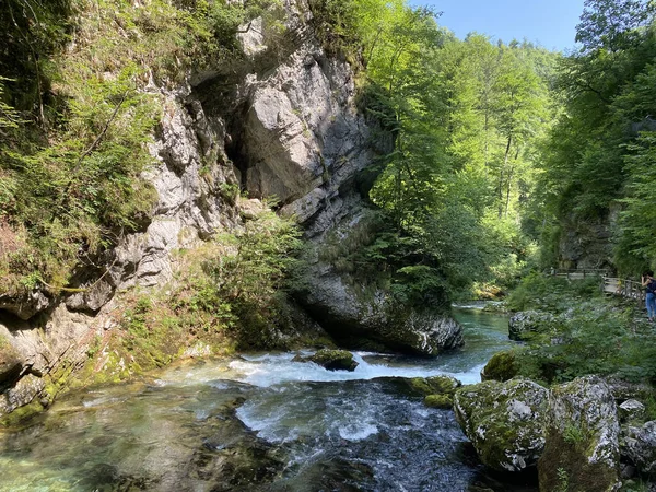 Vintgar Gorge Bled Gorge Bled Slovenia Triglav National Park Vintgar — Stock Photo, Image