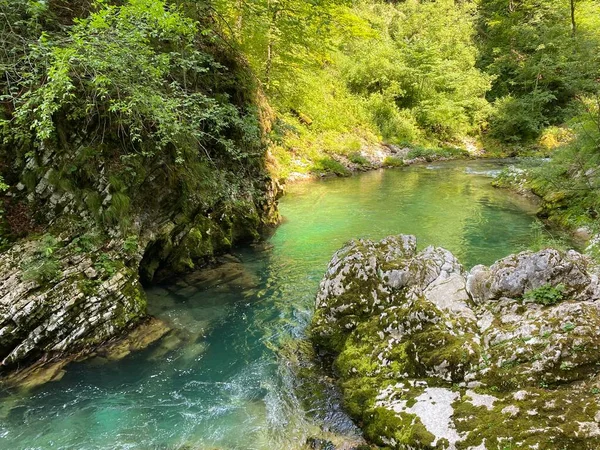 Bleder Schlucht Bled Slowenien Triglav Nationalpark Vintgar Klamm Oder Vintgarklamm — Stockfoto