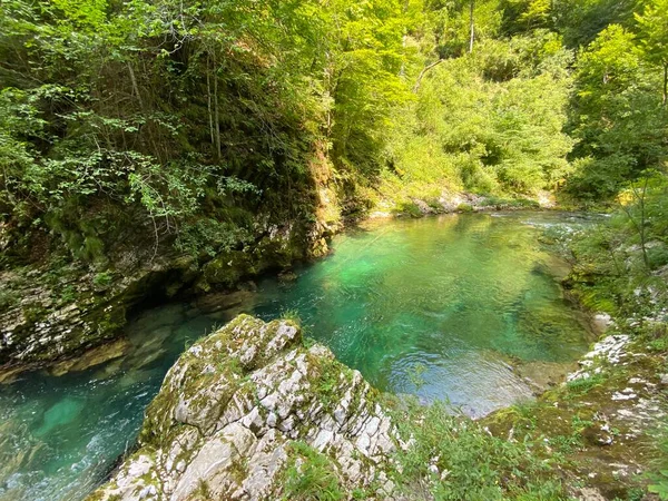 슬로베니아 가르클 Oder Vintgarklamm Slowenien Nationalpark Triglav Soteska Vintgar Ali — 스톡 사진