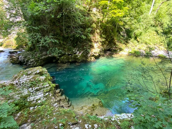 Vintgar Szurdok Vagy Bled Szurdok Bled Szlovénia Triglav Nemzeti Park — Stock Fotó