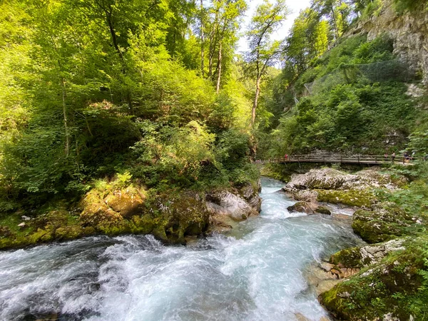 Vintgar Gorge Bled Gorge Bled Slozia Triglav National Park Vintgar — ストック写真