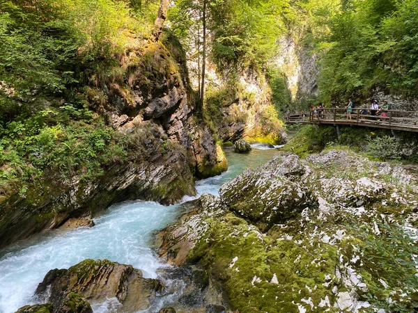 Bleder Schlucht Bled Slowenien Triglav Nationalpark Vintgar Klamm Oder Vintgarklamm — Stockfoto