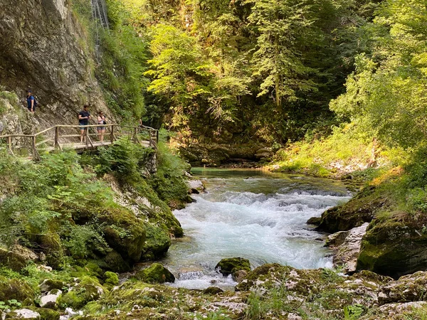 Bleder Schlucht Bled Slowenien Triglav Nationalpark Vintgar Klamm Oder Vintgarklamm — Stockfoto