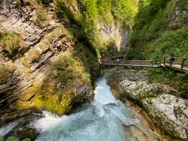 Vintgar Gorge Bled Gorge Bled Slovenia Triglav National Park Vintgar — Foto de Stock