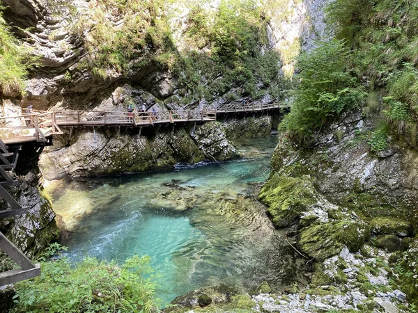 Vintgar Gorge Lub Bled Gorge Bled Słowenia Triglav National Park — Zdjęcie stockowe