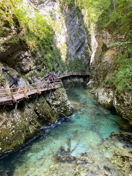 Vintgar Gorge Bled Gorge Bled Eslovénia Triglav National Park Vintgar — Fotografia de Stock