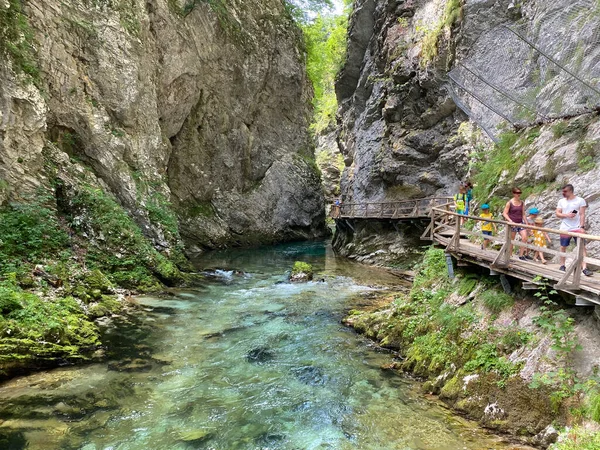 Bleder Schlucht Bled Slowenien Triglav Nationalpark Vintgar Klamm Oder Vintgarklamm — Stockfoto