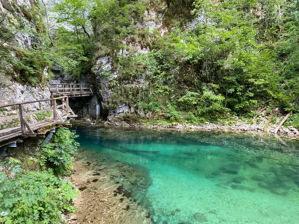 슬로베니아 가르클 Oder Vintgarklamm Slowenien Nationalpark Triglav Soteska Vintgar Ali — 스톡 사진