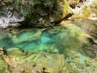 Dağ nehri Radovna Vintgar Vadisi veya Bled Gorge - Bled, Slovenya (Triglav Ulusal Parkı) - Bergfluss Radovna in der Vintgarklamm oder Vintgar Klamm - Bled, Slowenien (Triglav-Nationalpark))