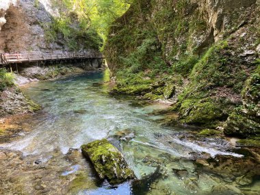 Dağ nehri Radovna Vintgar Vadisi veya Bled Gorge - Bled, Slovenya (Triglav Ulusal Parkı) - Bergfluss Radovna in der Vintgarklamm oder Vintgar Klamm - Bled, Slowenien (Triglav-Nationalpark))