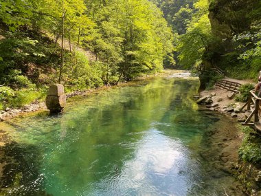 Dağ nehri Radovna Vintgar Vadisi veya Bled Gorge - Bled, Slovenya (Triglav Ulusal Parkı) - Bergfluss Radovna in der Vintgarklamm oder Vintgar Klamm - Bled, Slowenien (Triglav-Nationalpark))