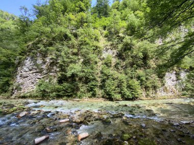 Dağ nehri Radovna Vintgar Vadisi veya Bled Gorge - Bled, Slovenya (Triglav Ulusal Parkı) - Bergfluss Radovna in der Vintgarklamm oder Vintgar Klamm - Bled, Slowenien (Triglav-Nationalpark))