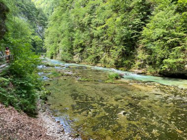 Dağ nehri Radovna Vintgar Vadisi veya Bled Gorge - Bled, Slovenya (Triglav Ulusal Parkı) - Bergfluss Radovna in der Vintgarklamm oder Vintgar Klamm - Bled, Slowenien (Triglav-Nationalpark))