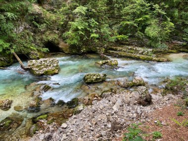 Dağ nehri Radovna Vintgar Vadisi veya Bled Gorge - Bled, Slovenya (Triglav Ulusal Parkı) - Bergfluss Radovna in der Vintgarklamm oder Vintgar Klamm - Bled, Slowenien (Triglav-Nationalpark))