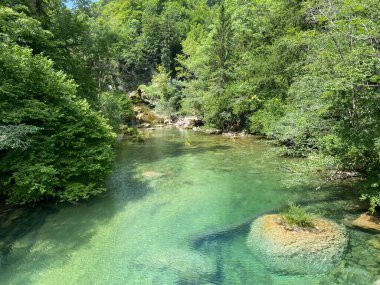 Dağ nehri Radovna Vintgar Vadisi veya Bled Gorge - Bled, Slovenya (Triglav Ulusal Parkı) - Bergfluss Radovna in der Vintgarklamm oder Vintgar Klamm - Bled, Slowenien (Triglav-Nationalpark))