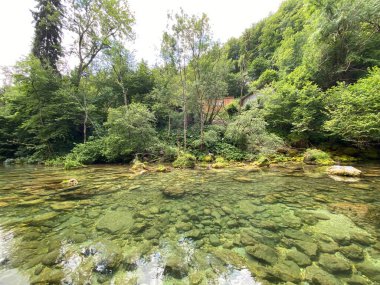 Dağ nehri Radovna Vintgar Vadisi veya Bled Gorge - Bled, Slovenya (Triglav Ulusal Parkı) - Bergfluss Radovna in der Vintgarklamm oder Vintgar Klamm - Bled, Slowenien (Triglav-Nationalpark))